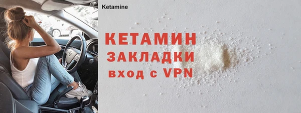 прущие грибы Волосово