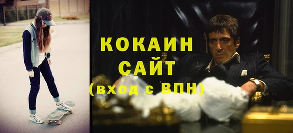 прущие грибы Волосово