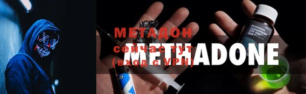 прущие грибы Волосово